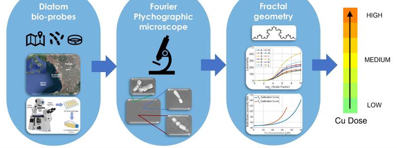 Microalghe come biosensori per analizzare l'acqua