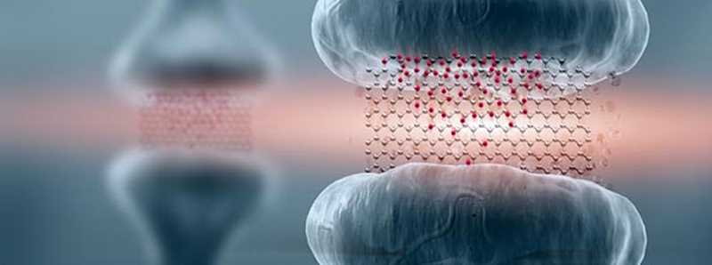 Reti neurali artificiali che imitano il cervello