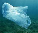 Sacchetto di plastica