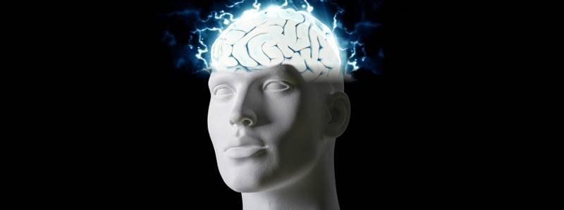 Meccanismi del cervello per un mondo complesso