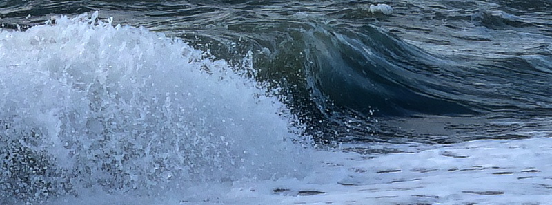 Entropia nell'acqua diminuita dai campi elettrici