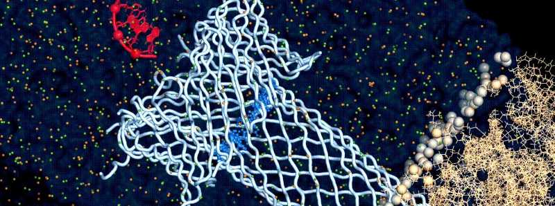 Tossina trasformata in un biosensore