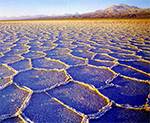 Deserto cileno di Atacama