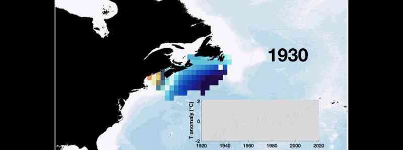 Riscaldamento delle acque oceaniche