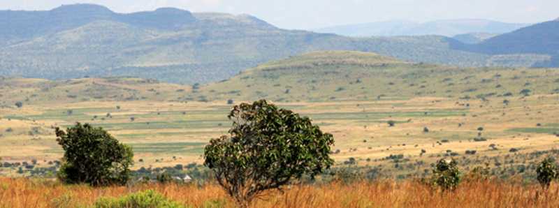 Sudafrica danneggiato dai cambiamenti climatici