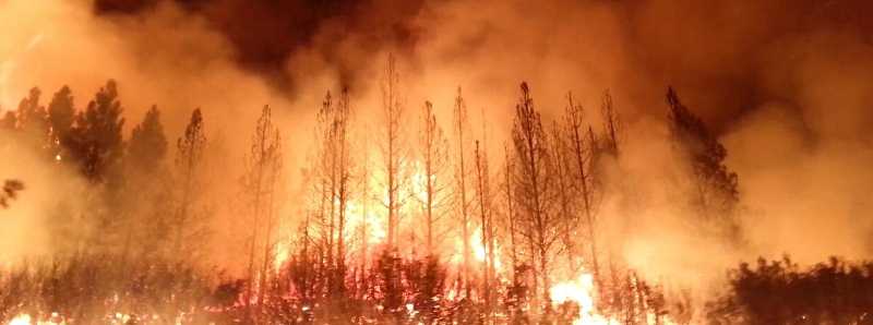 Gli incendi boschivi alterano i bacini fluviali