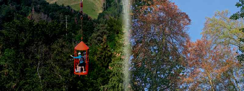 Foreste dell'Europa alterate dal clima