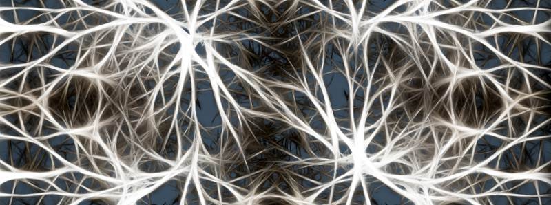 Come la malattia di Huntington colpisce il cervello