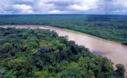 Foresta ecuadoriana