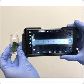 Una tecnologia identifica le malattie delle piante
