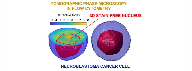 Diagnosticare in 3D il nucleo di singole cellule tumorali