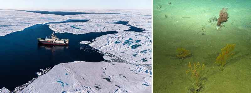 Esplorati i fondali oceanici della Terra