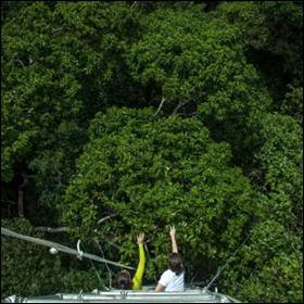 La foresta pluviale amazzonica assorbe meno carbonio del previsto