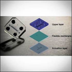 Artrosi un chip imita la malattia per escogitare terapie mirate