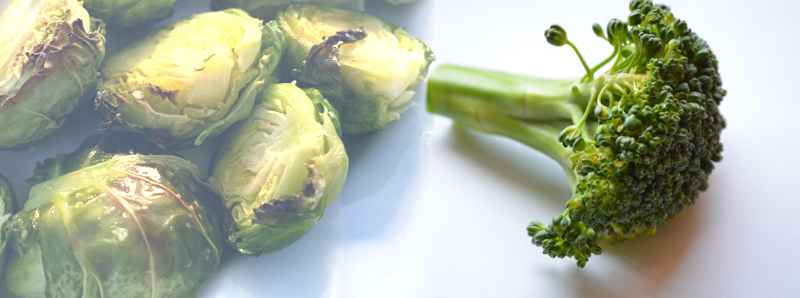 Broccoli e cavoletti di Bruxelles per la salute dei vasi sanguigni