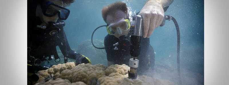 Osteoporosi dei coralli causata dall'acidificazione degli oceani