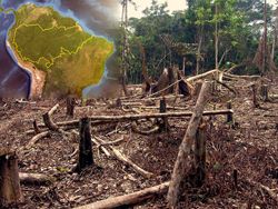 Disboscamento dell’Amazzonia