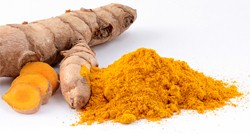 Curcuma