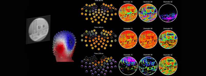 Nuova tecnica di mappatura del cervello