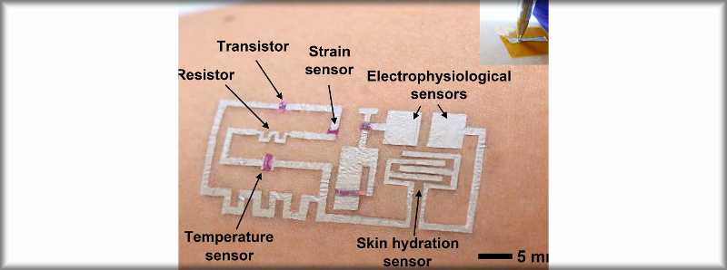 Sensori e circuiti multifunzionali sulla pelle