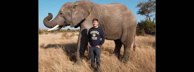 Le funzioni della proboscide di un elefante