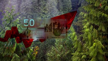 Le foreste comunitarie del Canada favoriscono l'economia