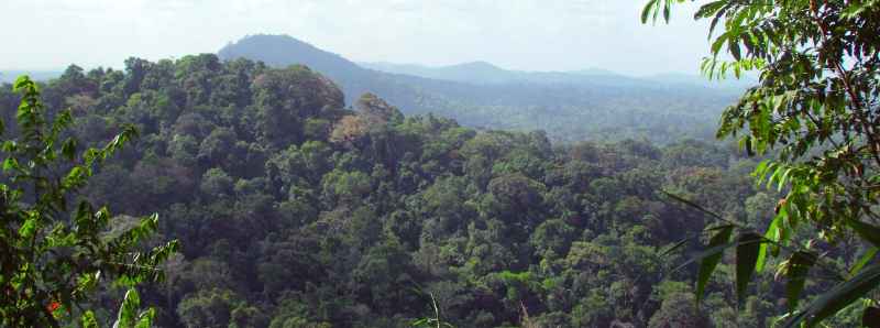 Amazzonia minacciata dalla politica di Bolsonaro