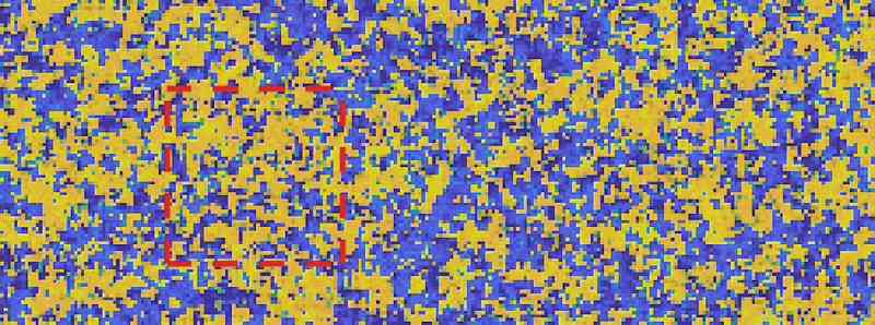 Trovare la struttura nella statica del cervello