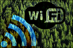 Il Wi-fi genera radiazioni letali per gli alberi