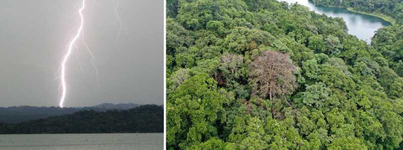 Ogni anno 100 milioni di fulmini colpiscono i tropici