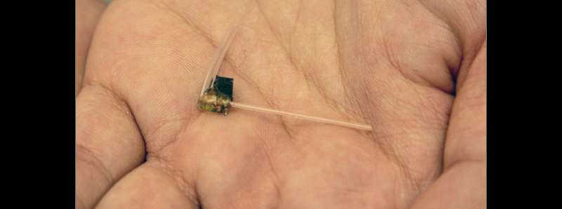 Immunoterapia del cancro con fibre ottiche impiantabili