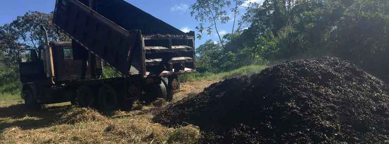 Scarti di caffè per il recupero delle foreste