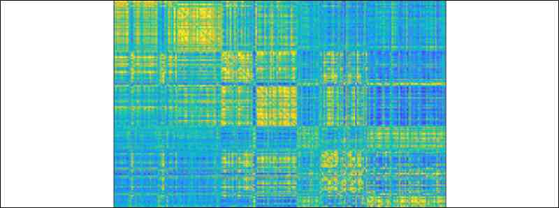 Il cervello ha una impronta digitale