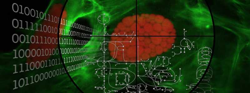 Analizzata su scala genomica la malaria