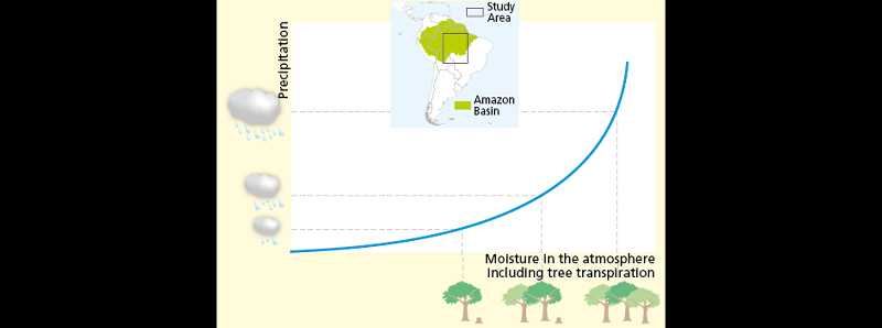 La deforestazione in Amazzonia riduce le piogge