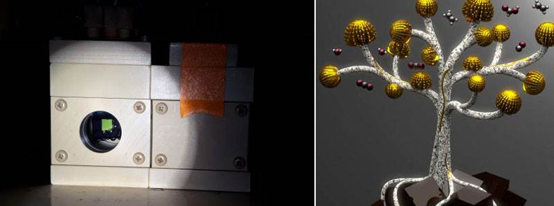 Nano-fiori di rame per trasformare la CO2