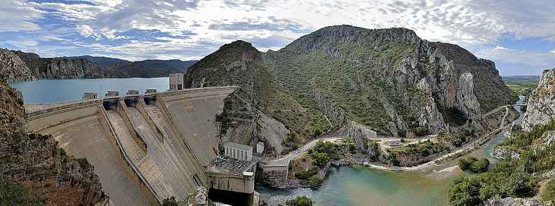 Le dighe limitano la vita dei pesci di fiume