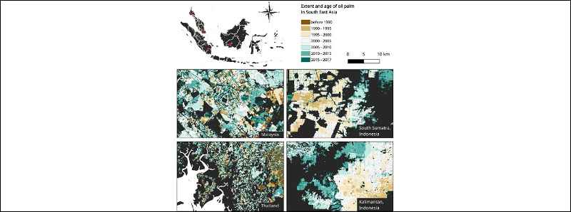 Nuova mappa della palma da olio