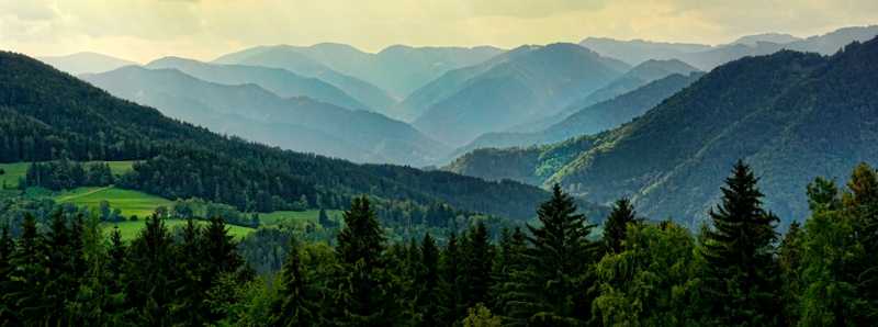 Foreste e cambiamenti climatici