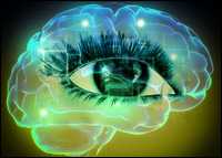 Impianti cerebrali optoelettronici in grado di controllare il nostro cervello