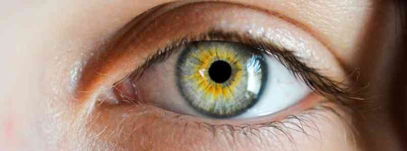 Rigenerazione delle cellule dell’occhio