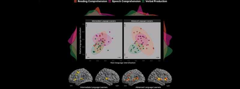 L'apprendimento attua particolari stimoli nel cervello