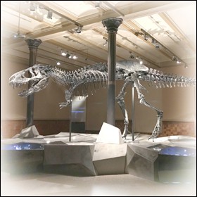 I paleontologi non vedono di buon occhio le aste dei fossili di dinosauro