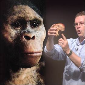 La piccola di Lucy e il professor Jeremy DeSilva