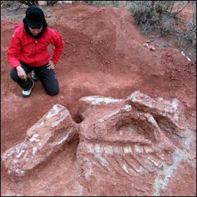 dinosauro Ingenia, archeologia, Argentina