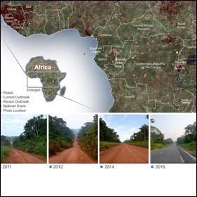 La rapida urbanizzazione e la crescita economica in Africa centrale renderà la regione più vulnerabile agli attacchi di epidemie e di malattie infettive