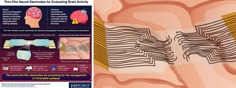 Elettrodi neurali per stimolare il cervello