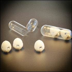 La capsula pillola, dalle dimensione di un mirtillo, dispone di un piccolo ago fatto di insulina compressa che viene iniettato nello stomaco