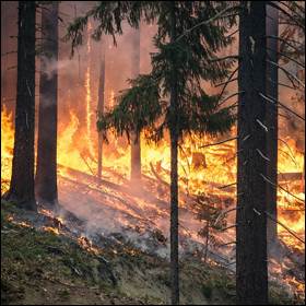 Meno neve negli USA a causa degli incendi boschivi