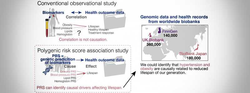 Indizi sulla longevità della genetica umana